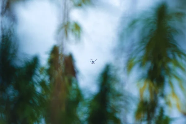 Dron Nad Pole Konopí Pozorování Fotografování — Stock fotografie