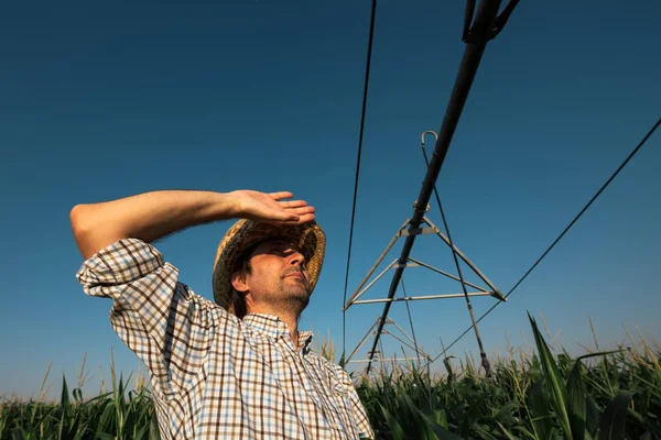 Ernstige Betrokken Landbouwer Cornfield Met Irrigatiesysteem Buiten Bedrijf Tijdens Een — Stockfoto