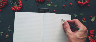 Üstten görünüm düz yatıyordu el yazma günlük, alay vahşi berry meyve düzenleme ile dekore edilmiş ahşap arka plan üzerinde kopya yer