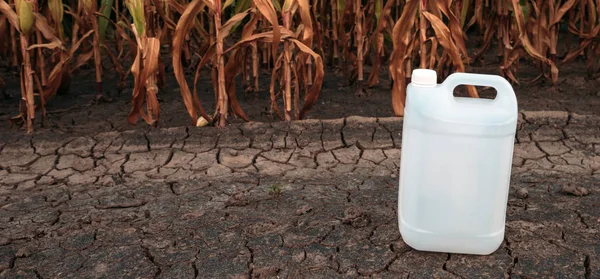Jarro Químico Plástico Branco Pesticida Milheiral Como Simular Espaço Cópia — Fotografia de Stock