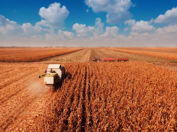 Fotografia Aérea Colheitadeira Colheitadeira Colheita Campo Cultivo Milho Ponto Vista — Fotografia de Stock