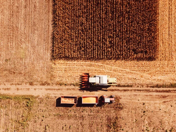 Aerial Photography Combine Harvester Pouring Harvested Corn Kernels Tractor Cargo — Stock Photo, Image