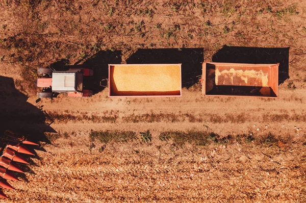 Vista Aérea Trator Agrícola Com Carrinhos Carga Campo Carregados Com — Fotografia de Stock