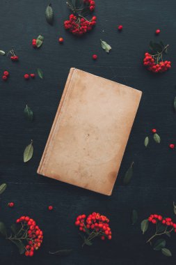 Düz yatıyordu vintage ciltli kitap, vahşi berry meyve decoarative düzenleme ile üstten görünüm