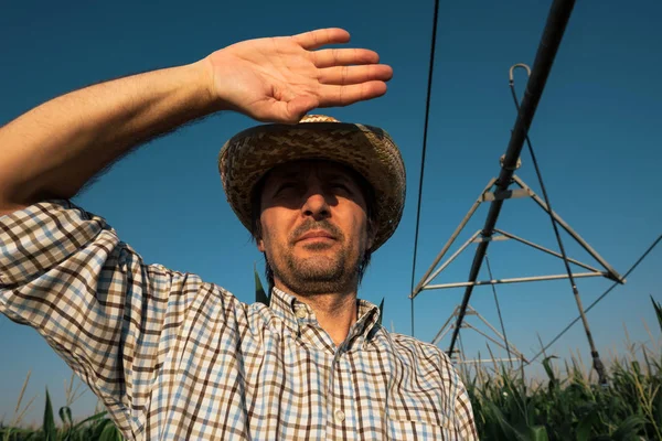 Ernstige Betrokken Landbouwer Cornfield Met Irrigatiesysteem Buiten Bedrijf Tijdens Een — Stockfoto