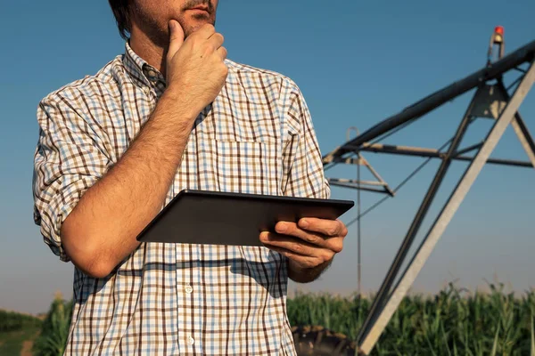 Graves Agricultores Preocupados Por Uso Tabletas Campo Maíz Con Sistema —  Fotos de Stock