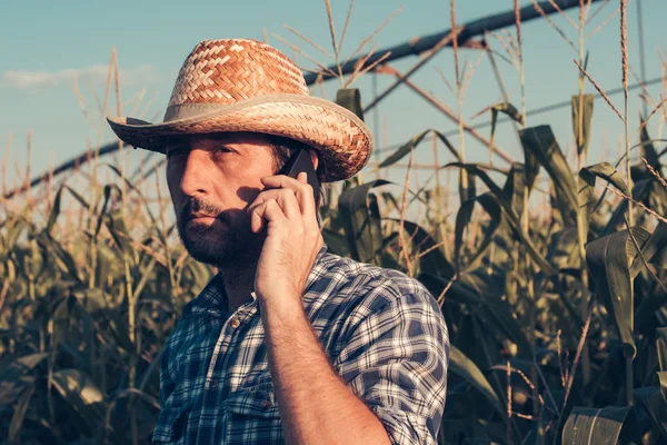 Portrait of serious farmer talking on mobile phone in corn field, looking confident and determined