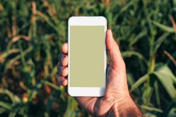 Agritech and smart farming, mobile phone app mock up screen - farmer holding smartphone with blank screen as copy space for agriculture related application