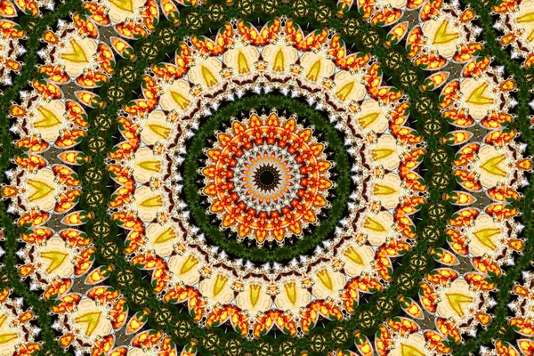 Psychedelické Kaleidoskopický Iluzivní Symetrický Vzor Jako Pozadí — Stock fotografie