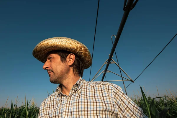 Agricultor Seriamente Preocupado Campo Milho Com Sistema Irrigação Fora Operação — Fotografia de Stock