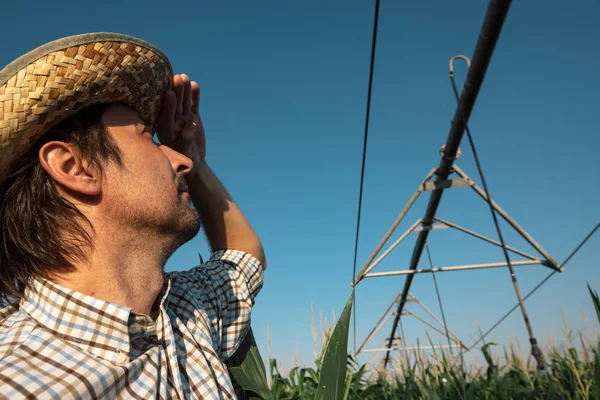 Serious Concerned Farmer Cornfield Irrigation System Out Operation Warm Summer — Stock Photo, Image