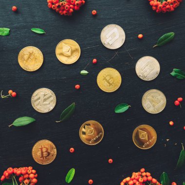 Düz yatıyordu cryptocurrency sikkeleri üzerinde koyu arka plan, vahşi berry meyve düzenleme ile üstten görünüm