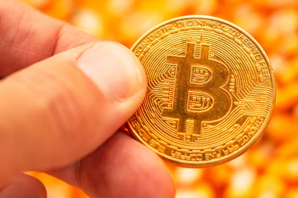 Bitcoin Hand Maïs Kernels Heap Conceptuele Afbeelding Voor Cryptocurrency Gerelateerde — Stockfoto