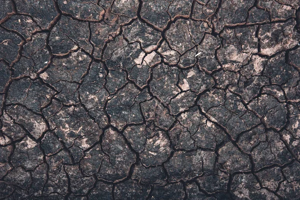 Schlammrisse Strukturieren Draufsicht Getrocknete Und Zusammengezogene Schlammsedimente Von Oben — Stockfoto