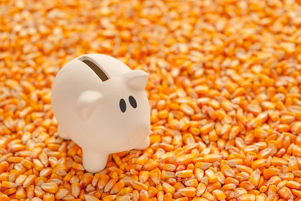 Piggy Bank Pile Harvested Corn Seed Copy Space Conceptual Image — Stock Photo, Image