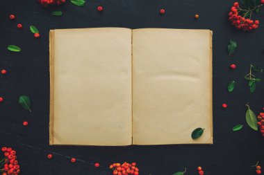 Vintage açık kitap düz lay sahte kadar vahşi berry meyve düzenleme ile dekore edilmiş kopya alanı od koyu siyah Resepsiyon arka plan olarak