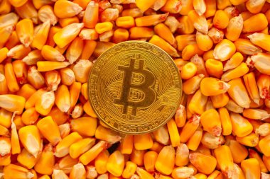 Bitcoin mısır çekirdekleri yığın, cryptocurrency de dahil olmak üzere ticari faaliyet için kavramsal görüntü üstüne emtia ticaret tarım işinde ilgili.