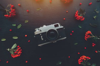 Çiçek düzenleme ile koyu ahşap arka plan düz yatıyordu hippi tarzı eski vintage fotoğraf kamera