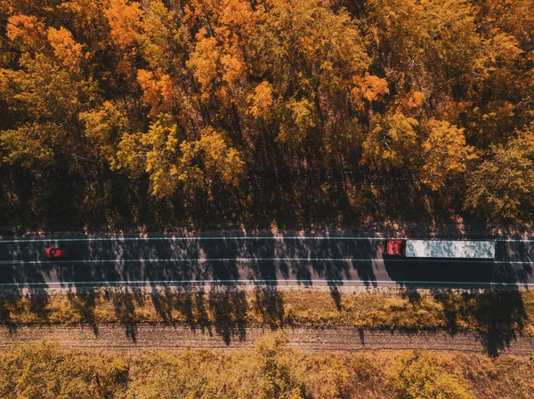 ドローンの視点で直接上記の森林を通る道路の車やトラックの空中写真 — ストック写真