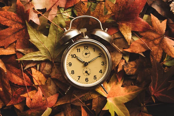 Autumn Season Time Retro Vintage Alarm Clock Dry Fall Leaves — Stock Photo, Image