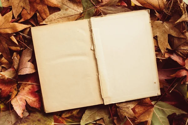 Стара Книга Осіннє Листя Концепція Осіннього Сезону — стокове фото