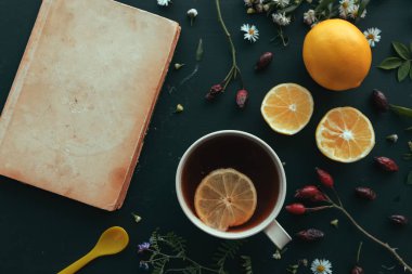 Bitkisel ilaç düz üstten görünüm sıcak Kuşburnu çay ve dilim limon ile yatıyordu