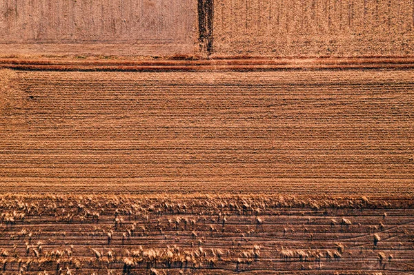 Flygfoto Över Fältet Stubb Från Drone Pov Ljusa Soliga Höstdag — Stockfoto