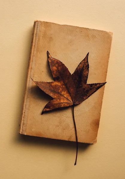Staré Knihy Podzim Listí Podzim Sezóny Koncept — Stock fotografie