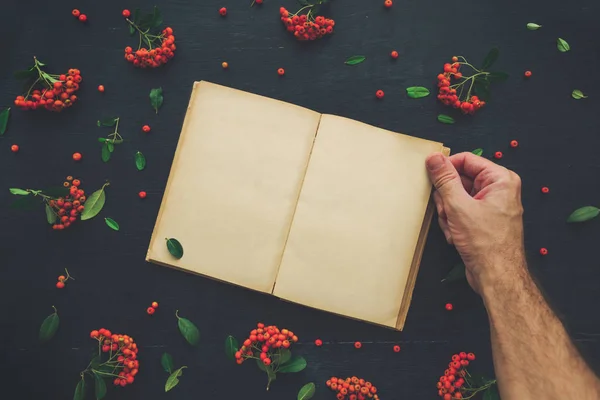 Hand Open Boek Met Blanke Pagina Plat Lag Het Wegknippen — Stockfoto