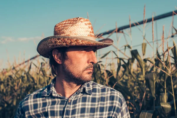 Retrato Agricultor Bem Sucedido Confiante Campo Milho Olhando Determinado Cheio — Fotografia de Stock