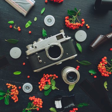 Vintage retro kamera düz negatif film rulo ve vahşi berry meyve düzenleme ile dekore edilmiş koyu arka plan üzerinde yatıyordu