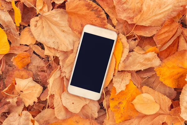 Witte Smartphone Met Lege Mock Scherm Kleurrijke Herfst Bladeren Achtergrond — Stockfoto