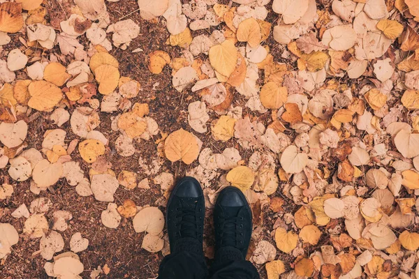 Homme Debout Dans Parc Sur Pile Feuilles Automnales Sèches Vue — Photo