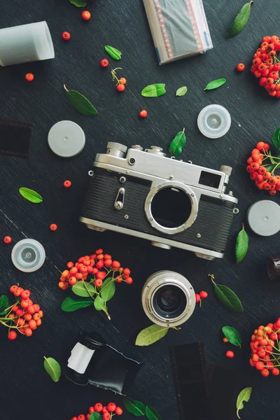 Vintage Retro Kamera Düz Negatif Film Rulo Vahşi Berry Meyve — Stok fotoğraf