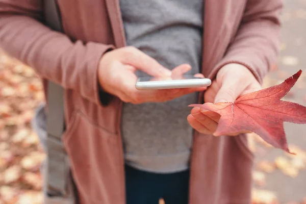 Frau Hält Smartphone Und Trockenes Japanisches Ahornblatt Sonnigem Herbsttag Park — Stockfoto