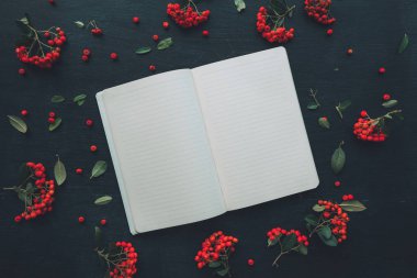 Düz boş günlük sayfaları üstten görünüm sahte kopya yer vahşi berry meyve düzenleme ile dekore edilmiş ahşap arka plan üzerinde yatıyordu
