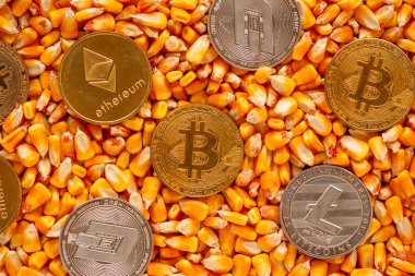 Mısır çekirdekleri yığın, emtia ticaret tarım işinde ilgili kripto para birimi de dahil olmak üzere ticari faaliyet için kavramsal görüntü üstüne cryptocurrency paraları