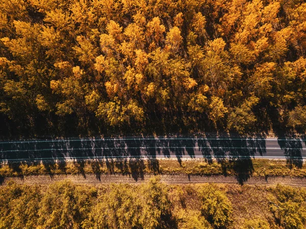 空道の秋 インドの夏の風景のドローンの観点から森の中の空中を表示 — ストック写真