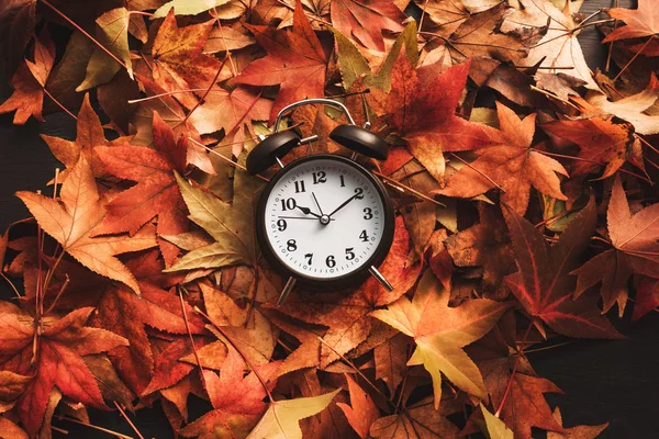 Время Осени Ретро Винтажный Будильник Сухих Осенних Листьях Переход Летнее — стоковое фото