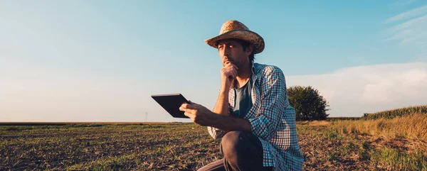 Farmer Agronomist Tablet Computer Bare Empty Field Sunset Serious Confident — Stock Photo, Image