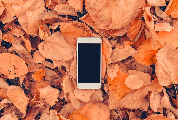 Witte Smartphone Met Lege Mock Scherm Kleurrijke Herfst Bladeren Achtergrond — Stockfoto