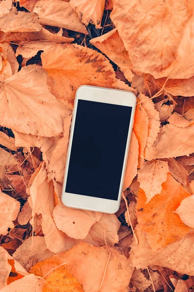 Vita Smartphone Med Tom Mock Upp Skärm Färgglad Höstlig Löv — Stockfoto