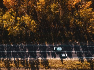 Aerial view of two white cars on road through forest in autumn, drone point of view directly above clipart