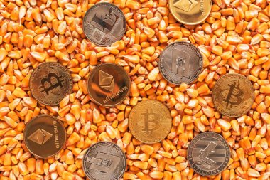 Mısır çekirdekleri yığın, emtia ticaret tarım işinde ilgili kripto para birimi de dahil olmak üzere ticari faaliyet için kavramsal görüntü üstüne cryptocurrency paraları