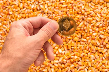 Ethereum para el mısır çekirdekleri yığın, cryptocurrency için kavramsal görüntü üzerinde tarım işinde emtia ticaret ticari faaliyetle ilgili