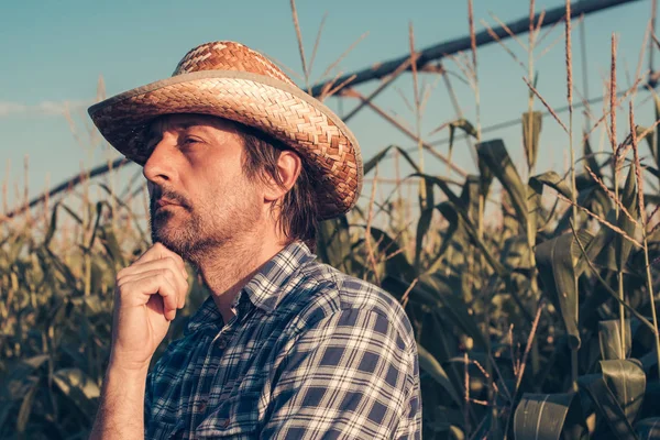 Portrét Vážných Zemědělského Pracovníka Kukuřičném Poli Hledá Vrcholní — Stock fotografie