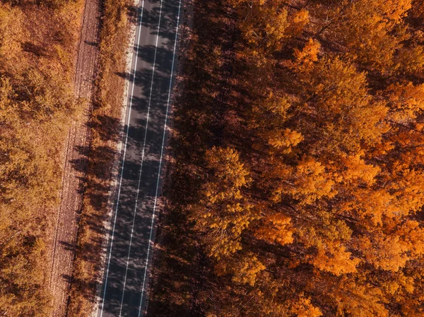 Vista Aérea Del Camino Vacío Través Del Bosque Otoño Paisaje —  Fotos de Stock