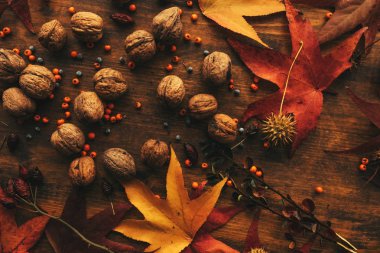 Kabuk, üst tablo görünümünü ceviz bol renkli akçaağaç yaprakları ile süslenmiş