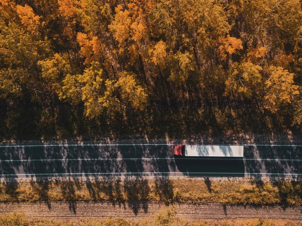 Вид Повітря Одну Вантажівку Дорозі Через Ліс Восени Точка Зору — стокове фото