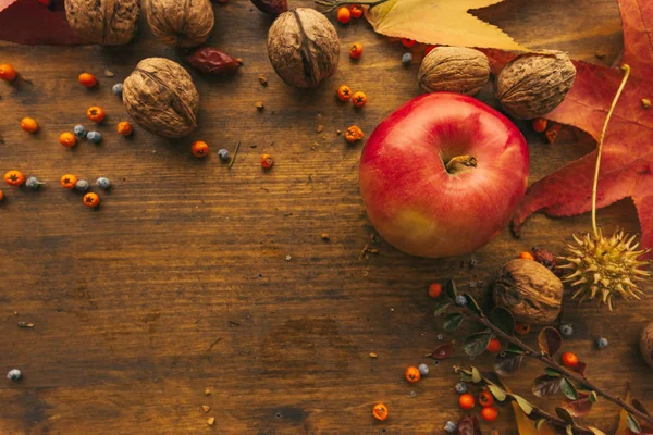 Herbstfrüchte Beeren Und Blätter Auf Holzuntergrund Flache Lageoberseite Mit Kopierraum — Stockfoto